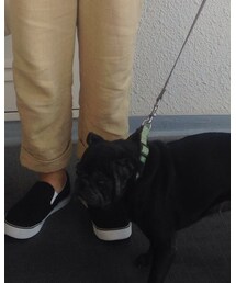 マティさん | その他