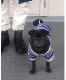 マティーさん | その他