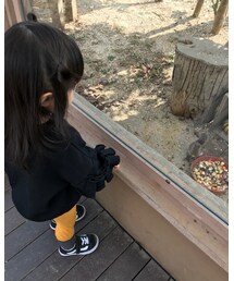 動物園♡ | その他