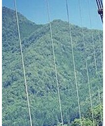 十津川村 | その他