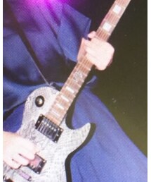 Spear guitars | その他