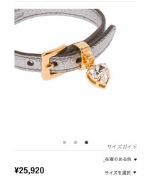 miu miu | アクセサリー