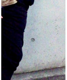 UNIQLO | その他パンツ