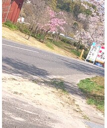 a.v.v | シャツ/ブラウス