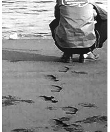 COOTIE PRODUCTIONS | チノパンツ