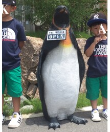 ペンギンちゃん | その他