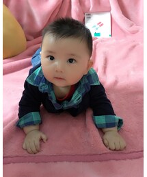 babyGAP | シャツ/ブラウス