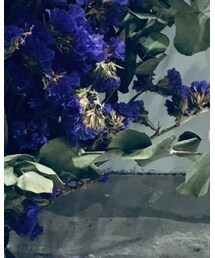 薰衣草干花 | フラワーベース