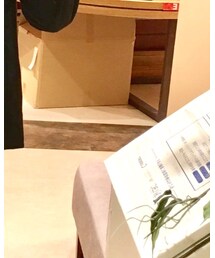 UNIQLO | シャツ/ブラウス