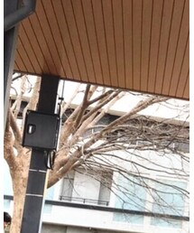 UNIQLO | シャツ/ブラウス