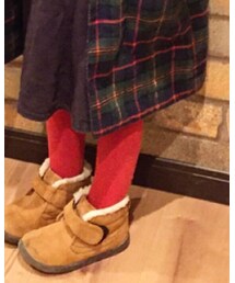 ocean&ground | タイツ/ストッキング