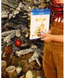 ミニオンズ | DVD