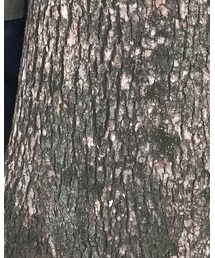 BREEZE | デニムパンツ