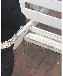 mingo | スウェット