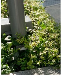 韓国子供服 | ニット/セーター