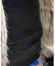 UNIQLO | ニット/セーター