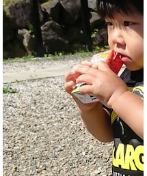 リンゴジュース | 食器/キッチン