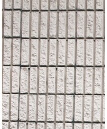 Maison Margiela | Tシャツ/カットソー