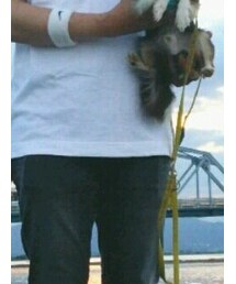 DUFFER | カーゴパンツ