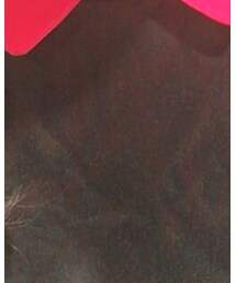 Chesty | ワンピース