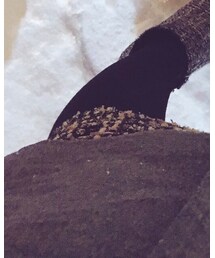 LAUTREAMONT | スカート