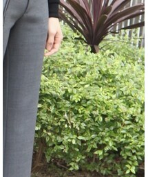 ERIKA CAVALLINI | その他パンツ