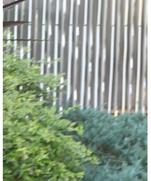 SOFIE D'HOORE | ジャケット/アウター