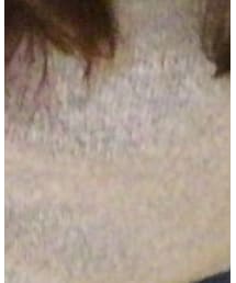 earth music&ecology | ニット/セーター