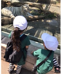 🐯 | その他