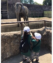 🐘 | その他