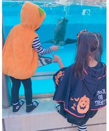 動物園🐧 | その他