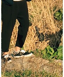 VANS | スニーカー