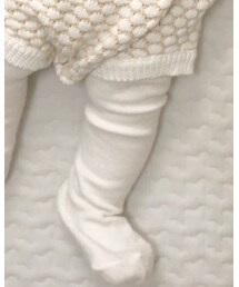 Birthday | タイツ/ストッキング