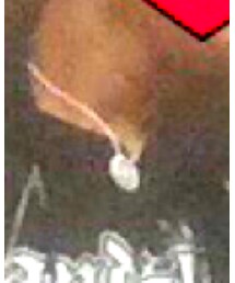 BANDEL | ネックレス