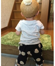 バックショット | その他