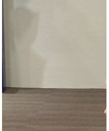 ZANELLATO | バッグ