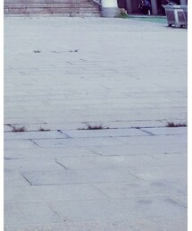 adidas Originals | ブーティ