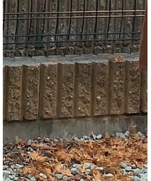 UNIQLO | チノパンツ