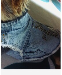 Ungrid | シャツ/ブラウス