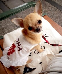 バンビU^ェ^U❁(その他)