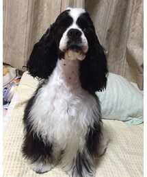 マル子 | その他