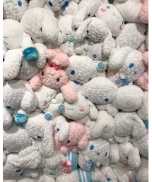 シナモン💙 | その他