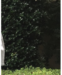 macromauro | バックパック/リュック