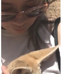 miumiu | サングラス