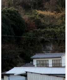 RADIALL | ハンチング/ベレー帽