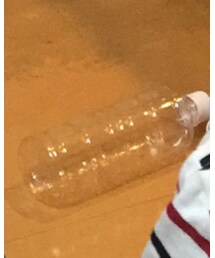 お気に入りのペットボトル | おもちゃ