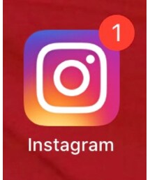 インスタ | 🕸インスタ🕸(トップス)