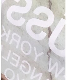 STUSSY | Tシャツ/カットソー