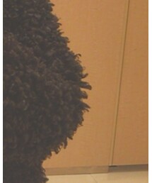 ohotoro | ジャケット/アウター