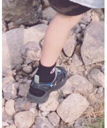 Champion | ソックス/靴下